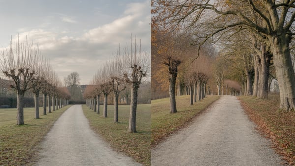 Zwei Kieswege im herbstlichen Park, einer gerade, einer geschwungen